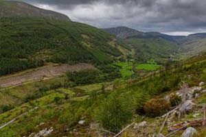 Walking_trails_leitrim_the_miners_way